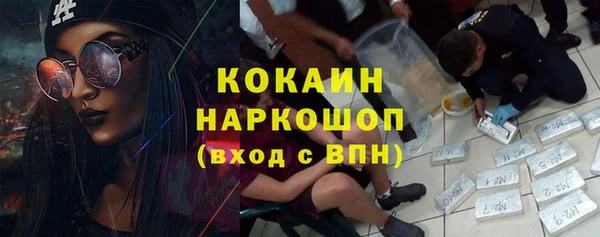 индика Алексин