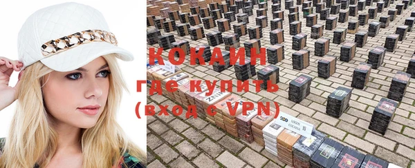 индика Алексин