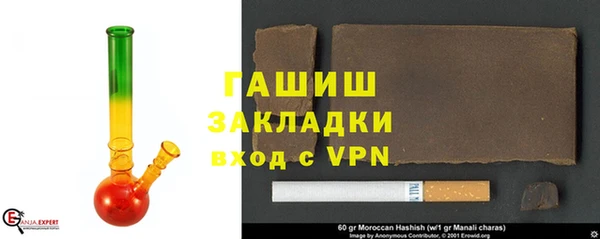 индика Алексин