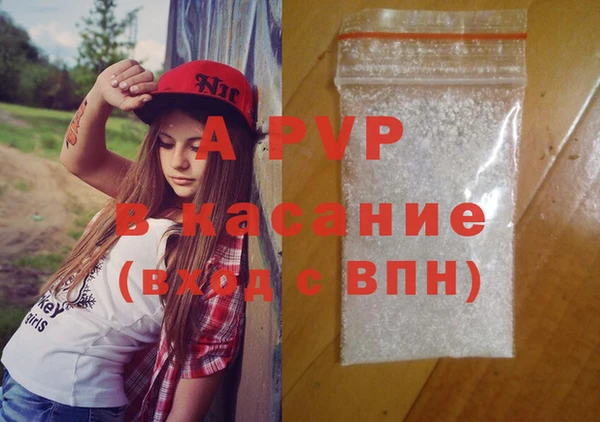 индика Алексин